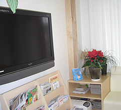 テレビ・雑誌